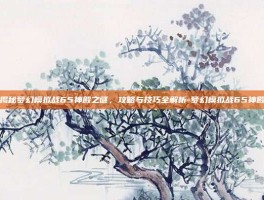 揭秘梦幻模拟战65神殿之谜，攻略与技巧全解析-梦幻模拟战65神殿