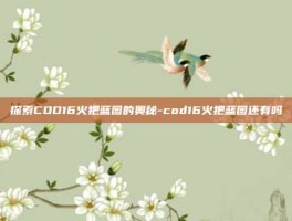 探索COD16火把蓝图的奥秘-cod16火把蓝图还有吗