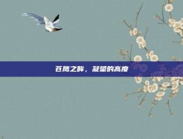苍鹰之眸，凝望的高度