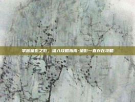 掌握暗影之影，深入攻略指南-暗影一直存在攻略