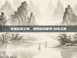 掌握白鸟之翼，翱翔游戏世界-白鸟之翼