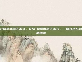 dnf租赁武器卡永久，DNF租赁武器卡永久，一场技术与风险的博弈