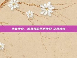 华北传奇，游戏界的不朽传说-华北传奇