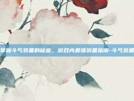 掌握斗气装备的秘密，游戏内最强装备指南-斗气装备