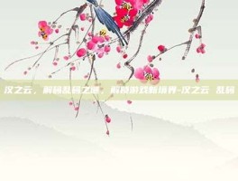 汉之云，解码乱码之谜，解锁游戏新境界-汉之云 乱码