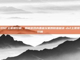 DNF土豪排行榜，揭秘游戏内最富玩家的财富秘诀-dnf土豪排行榜