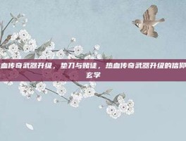 热血传奇武器升级，垫刀与赌徒，热血传奇武器升级的信仰与玄学