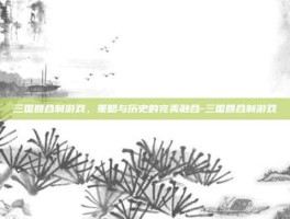 三国回合制游戏，策略与历史的完美融合-三国回合制游戏