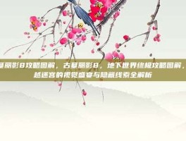 古墓丽影8攻略图解，古墓丽影8，地下世界终极攻略图解，穿越迷宫的视觉盛宴与隐藏线索全解析