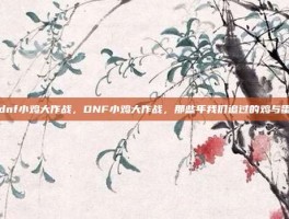 dnf小鸡大作战，DNF小鸡大作战，那些年我们追过的鸡与蛋
