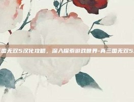 真三国无双5汉化攻略，深入探索游戏世界-真三国无双5汉化