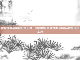 掌握传奇私服窗口化工具，轻松提升游戏效率-传奇私服窗口化工具