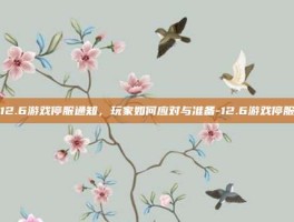 12.6游戏停服通知，玩家如何应对与准备-12.6游戏停服