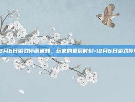 12月6日游戏停服通知，玩家的最后时刻-12月6日游戏停服