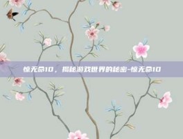 惊无命10，揭秘游戏世界的秘密-惊无命10