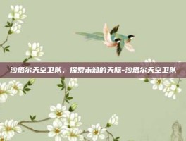 沙塔尔天空卫队，探索未知的天际-沙塔尔天空卫队