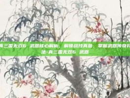 真三国无双6 武器核心解析，解锁战技真意，掌握武器传奇打法-真三国无双6 武器