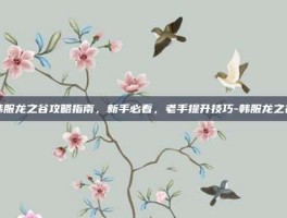 韩服龙之谷攻略指南，新手必看，老手提升技巧-韩服龙之谷