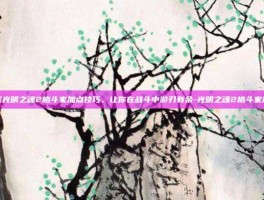 掌握光明之魂2格斗家加点技巧，让你在战斗中游刃有余-光明之魂2格斗家加点
