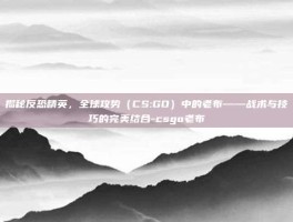 揭秘反恐精英，全球攻势（CS:GO）中的老布——战术与技巧的完美结合-csgo老布