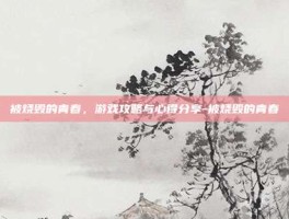 被烧毁的青春，游戏攻略与心得分享-被烧毁的青春