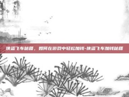 侠盗飞车秘籍，如何在游戏中轻松加钱-侠盗飞车加钱秘籍