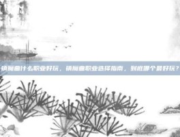 镇魔曲什么职业好玩，镇魔曲职业选择指南，到底哪个最好玩？