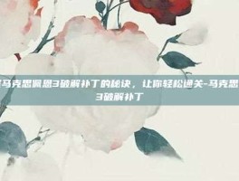 掌握马克思佩恩3破解补丁的秘诀，让你轻松通关-马克思佩恩3破解补丁