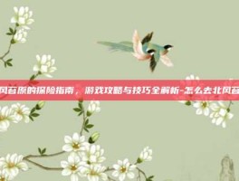 北风苔原的探险指南，游戏攻略与技巧全解析-怎么去北风苔原