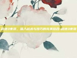 战地3夜袭，深入战术与技巧的完美结合-战地3夜袭