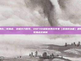dnf弹药二觉加点，终极火力倾泻，DNF110级版本弹药专家（战场统治者）通用型二觉加点全解析