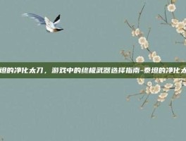 泰坦的净化太刀，游戏中的终极武器选择指南-泰坦的净化太刀