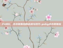 PUBG，小小哥斯拉的战术与技巧-pubg小小哥斯拉