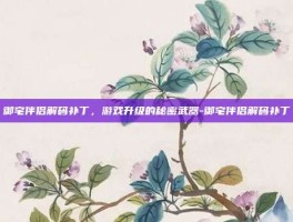 御宅伴侣解码补丁，游戏升级的秘密武器-御宅伴侣解码补丁