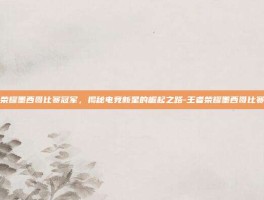 王者荣耀墨西哥比赛冠军，揭秘电竞新星的崛起之路-王者荣耀墨西哥比赛冠军