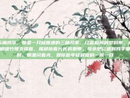 天角风筝，那是一只极普通的三角风筝，红蓝相间的塑料布，两根细竹篾支撑着，尾部拖着长长的飘带。母亲把它递到我手里时，眼里闪着光，跟你爸年轻时做的一模一样