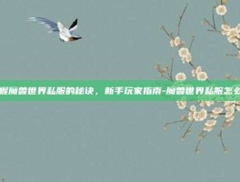 掌握魔兽世界私服的秘诀，新手玩家指南-魔兽世界私服怎么玩