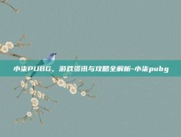 小柒PUBG，游戏资讯与攻略全解析-小柒pubg
