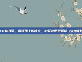 2K11林书豪，篮球场上的传奇，游戏攻略全解析-2k11林书豪