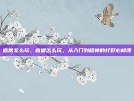盲僧怎么玩，盲僧怎么玩，从入门到超神的打野必修课
