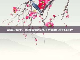 哥们36计，游戏攻略与技巧全解析-哥们36计