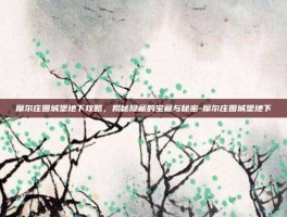 摩尔庄园城堡地下攻略，揭秘隐藏的宝藏与秘密-摩尔庄园城堡地下