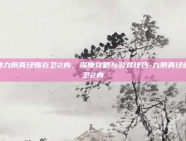 揭秘九阴真经锦衣卫2内，深度攻略与游戏技巧-九阴真经锦衣卫2内