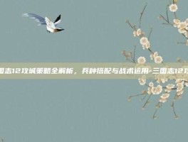 三国志12攻城策略全解析，兵种搭配与战术运用-三国志12攻城