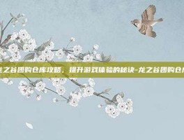 龙之谷团购仓库攻略，提升游戏体验的秘诀-龙之谷团购仓库