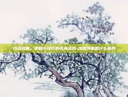 沙漠风暴，策略与技巧的完美结合-沙漠风暴是什么服务