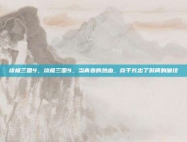 终极三国9，终极三国9，当青春的热血，终于长出了时间的皱纹