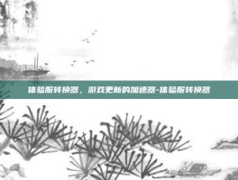 体验服转换器，游戏更新的加速器-体验服转换器