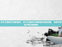 龙斗士魔剑士技能加点，龙斗士魔剑士技能加点终极攻略，从新手到高手的全面解析