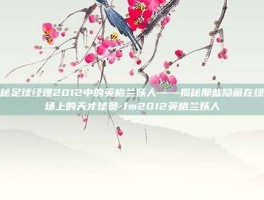 揭秘足球经理2012中的英格兰妖人——揭秘那些隐藏在绿茵场上的天才球员-fm2012英格兰妖人